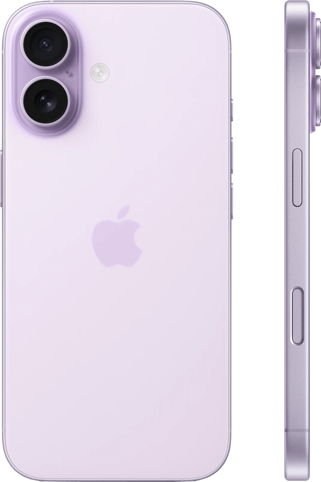 iPhone 17 라벤더 2/3